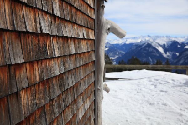 Cedar Siding Repair in Port Angeles