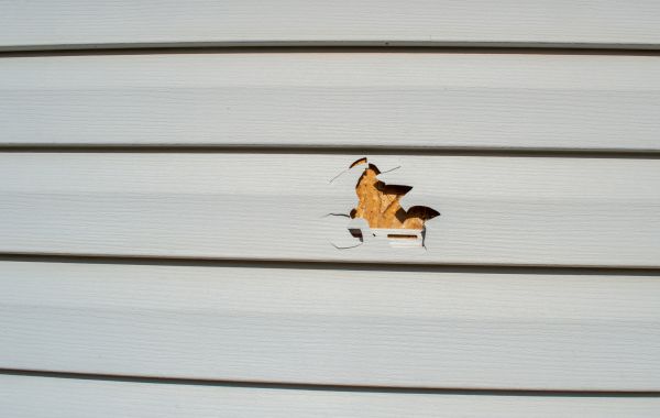 Siding Hole Patching in Port Angeles