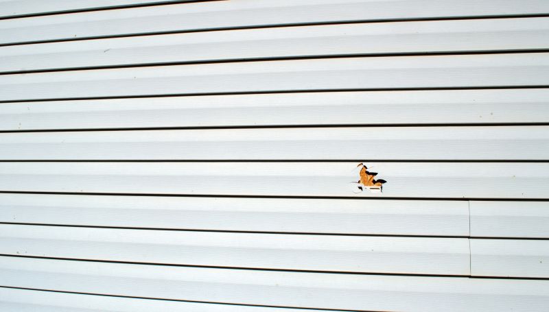 Siding Maintenance and Care