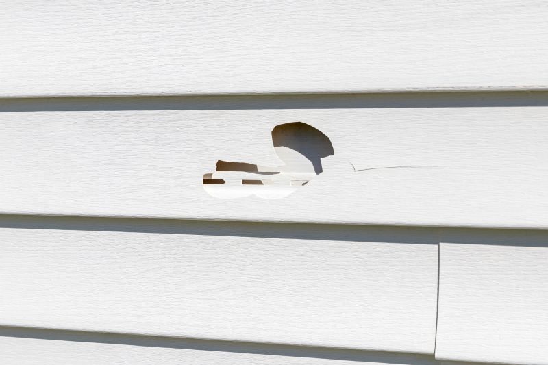 Vinyl Siding Repair - Structural Fix